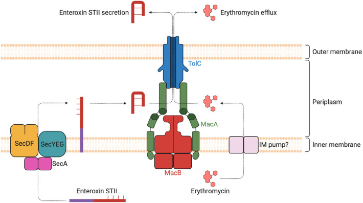 Figure 18