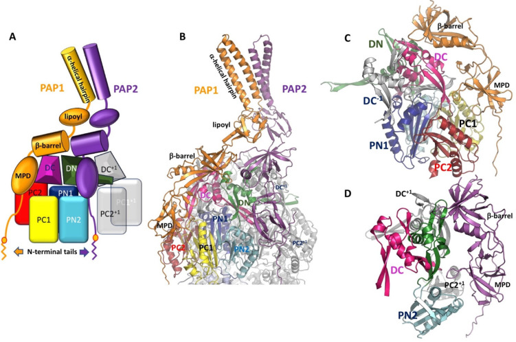 Figure 43