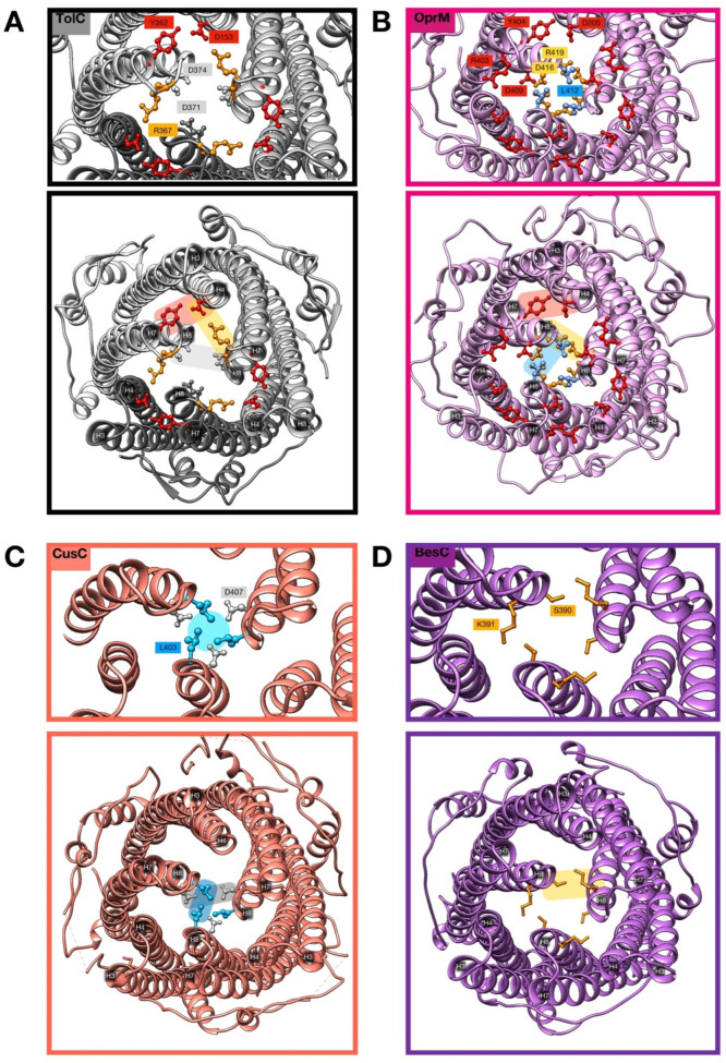 Figure 31