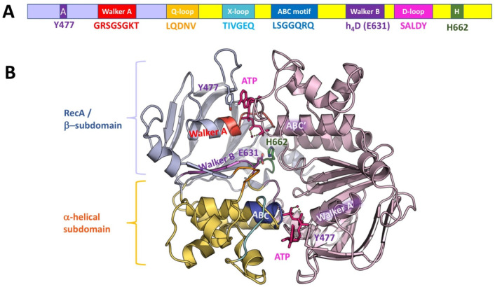 Figure 15