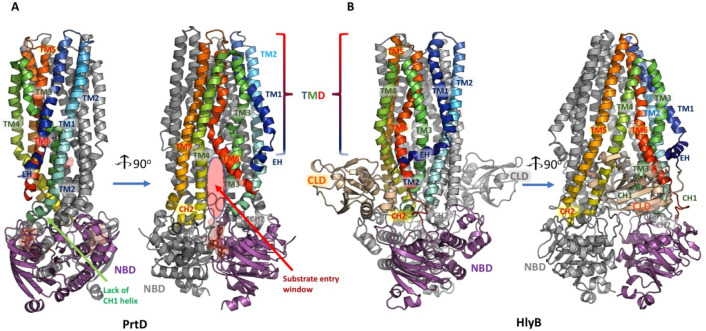 Figure 17