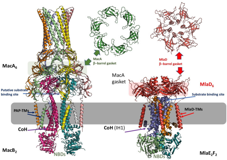 Figure 51