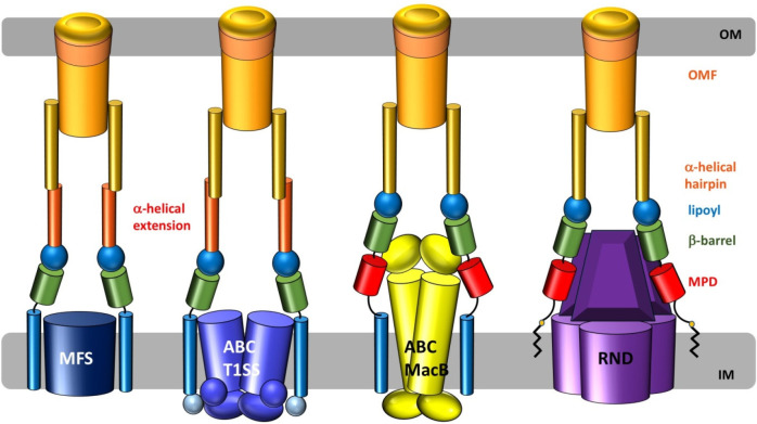 Figure 37