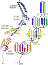 Figure 34