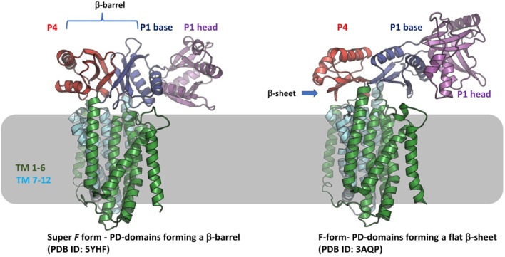 Figure 24