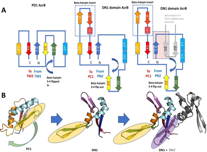 Figure 22