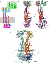 Figure 19