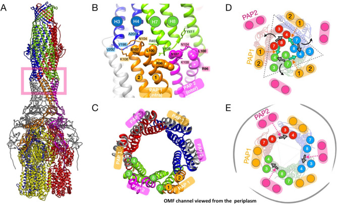 Figure 42