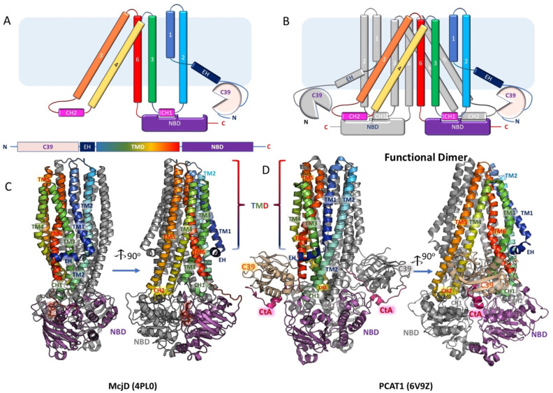 Figure 12