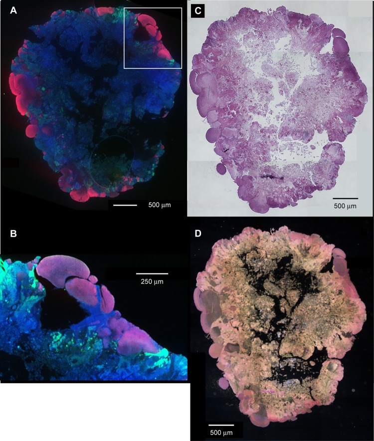 FIG 3