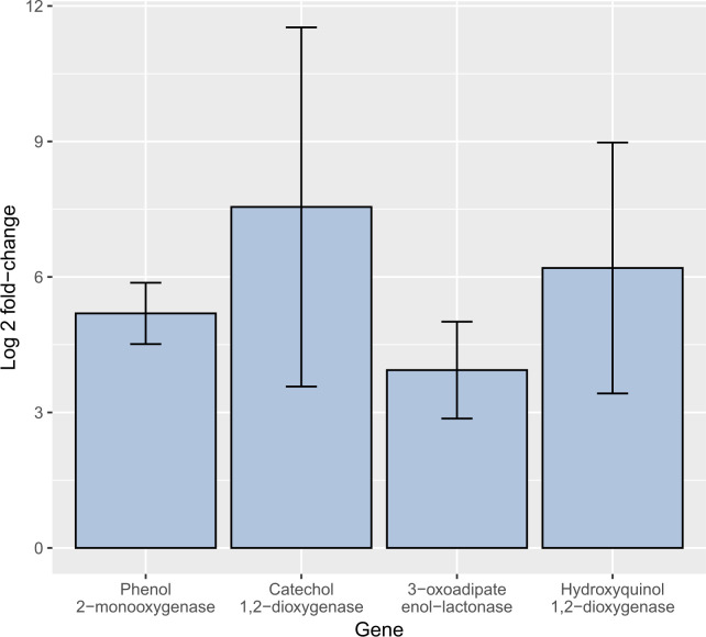 Bar chart depicting log two fold change of phenol 2-monooxygenase, catechol 1 2-dioxygenase, 3-oxoadipate enol lactonase and hydroquinol 1 2-dioxygenase, with catechol 1 2-dioxygenase showing highest expression and widest variability.
