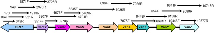 FIG 1