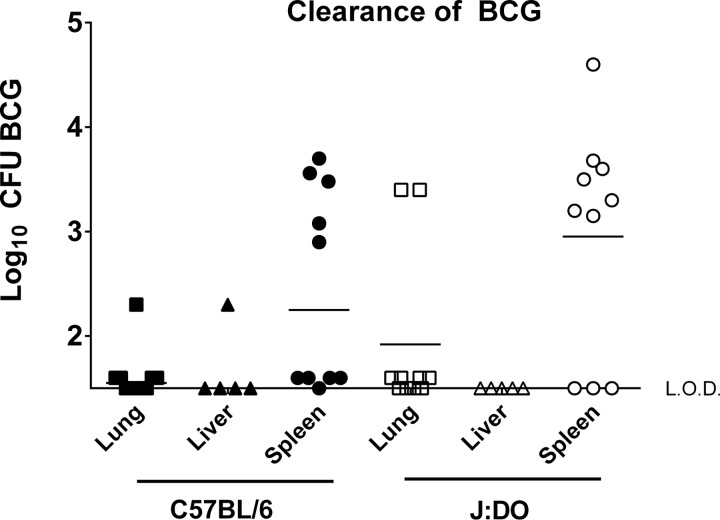 FIG 2