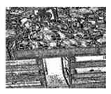 graphic file with name jimaging-05-00071-i114.jpg