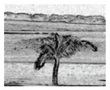 graphic file with name jimaging-05-00071-i101.jpg