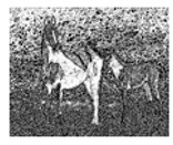 graphic file with name jimaging-05-00071-i086.jpg