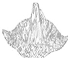 graphic file with name jimaging-05-00071-i056.jpg