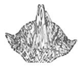 graphic file with name jimaging-05-00071-i058.jpg