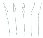 graphic file with name jimaging-05-00071-i028.jpg