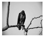 graphic file with name jimaging-05-00071-i021.jpg