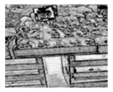 graphic file with name jimaging-05-00071-i113.jpg