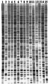 FIG. 1