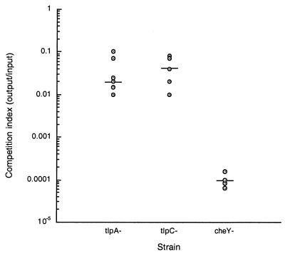 FIG. 2.