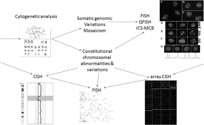 Fig. (1)