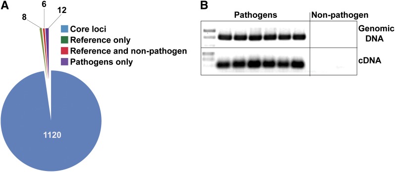 Figure 9 