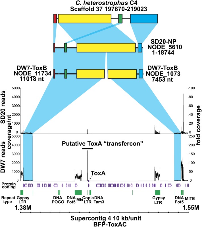 Figure 6 