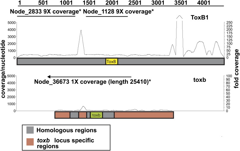 Figure 7 