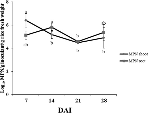 FIG 5