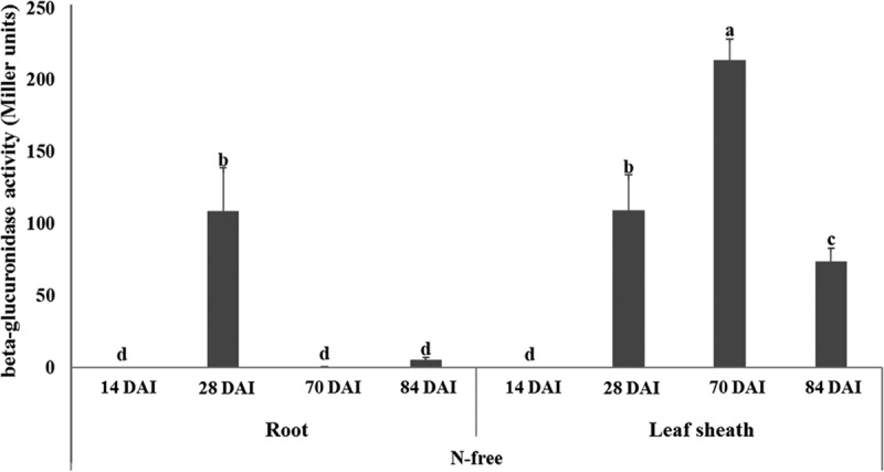 FIG 4