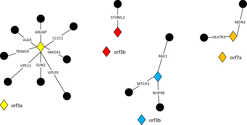 Fig. 10