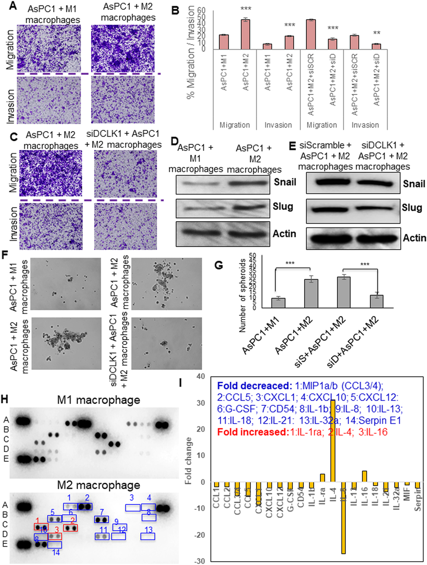 Fig. 4: