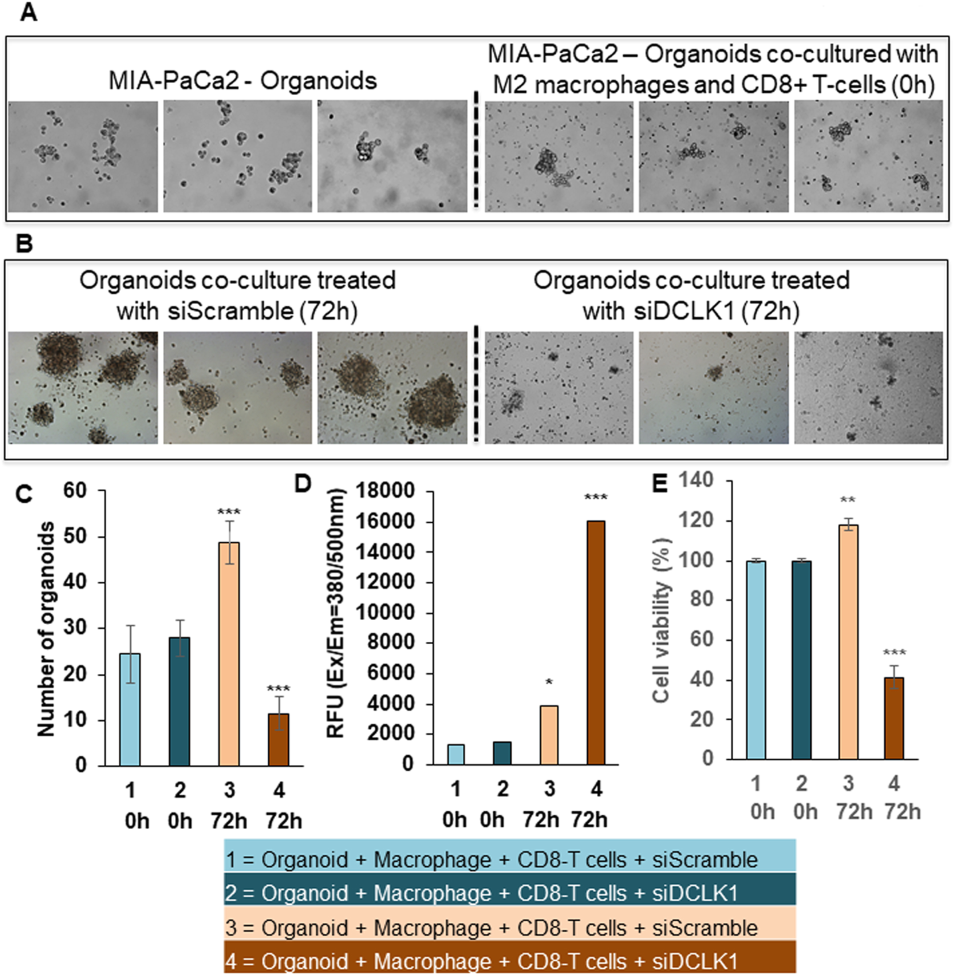 Fig. 6: