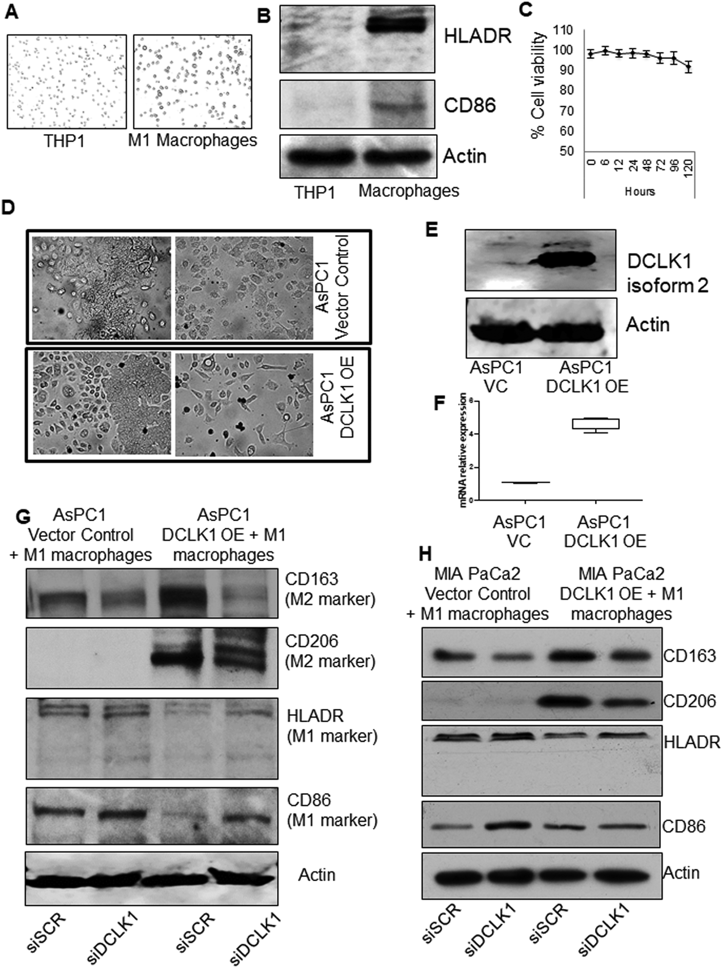 Fig. 2: