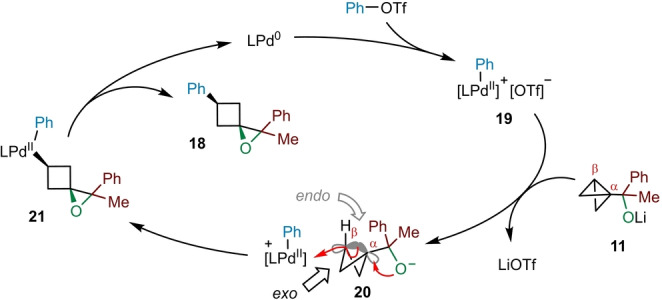 Scheme 3