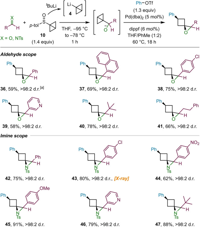 Scheme 5