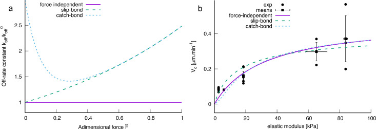 Appendix 1—figure 2.