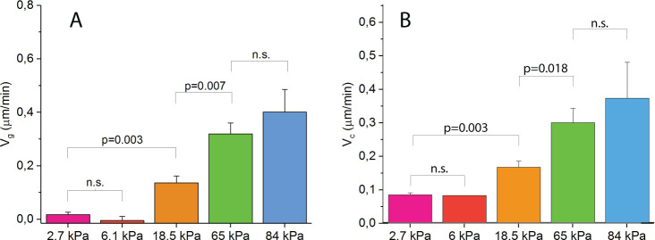 Figure 3—figure supplement 4.