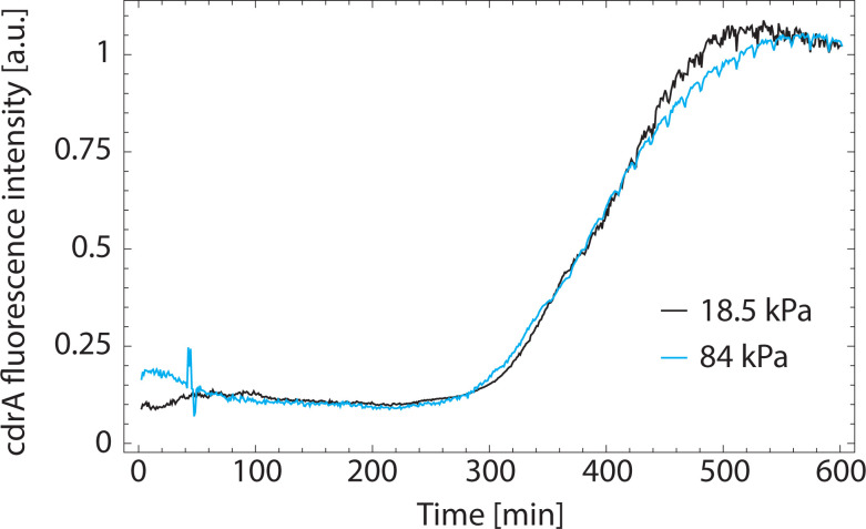 Figure 6—figure supplement 1.