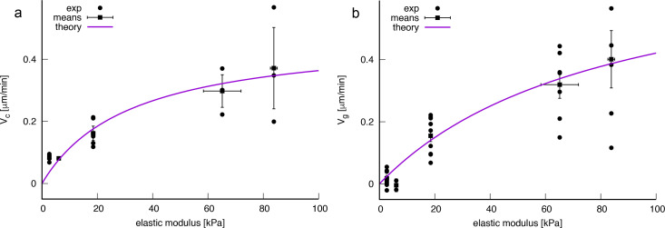 Appendix 1—figure 1.