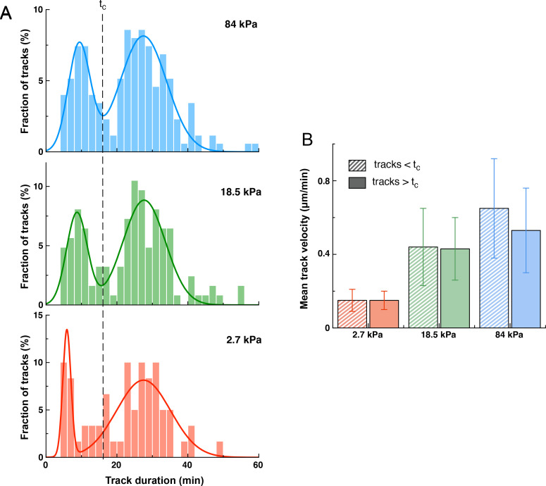 Figure 3—figure supplement 1.