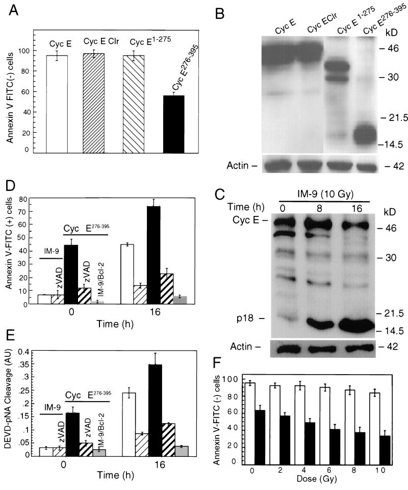 FIG. 7.