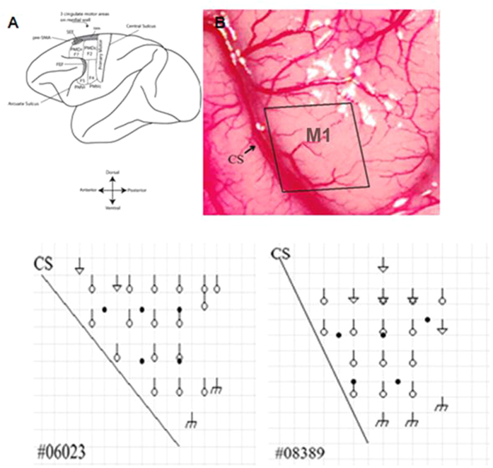 Figure 8