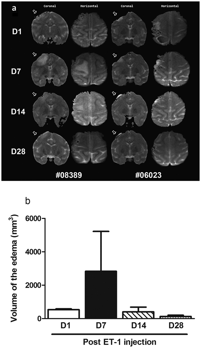 Figure 7