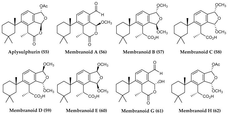 Figure 13