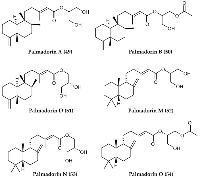 Figure 12