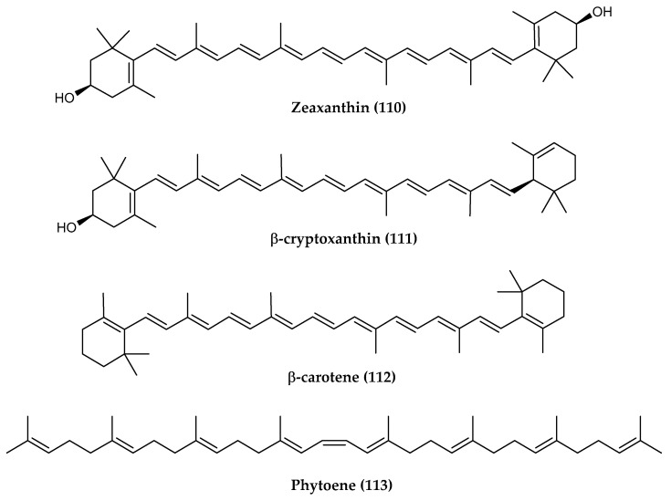 Figure 24